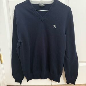 Express Navy V-Neck Sweater